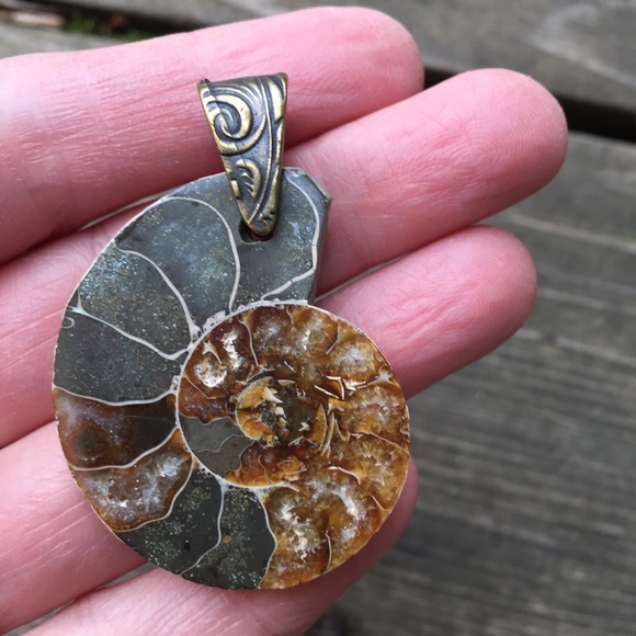 Ammonite Fossil Pendant with Brass Bail NWOT - Picture 2 of 14